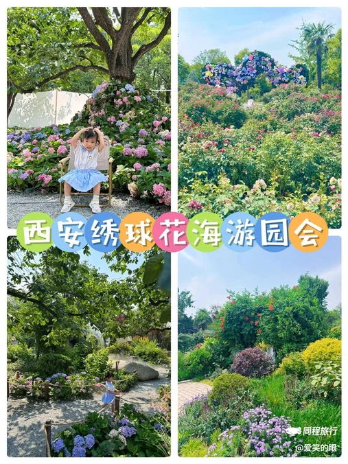 蔺宝堂玫瑰花园 - 西安市旅游