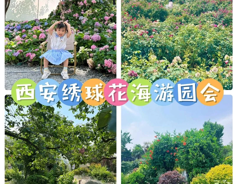 蔺宝堂玫瑰花园 - 西安市旅游 1