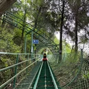 九皇山游客中心 - 绵阳市旅游 缩略图 5