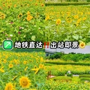 龙潭地铁站 - 广州旅游 缩略图 1