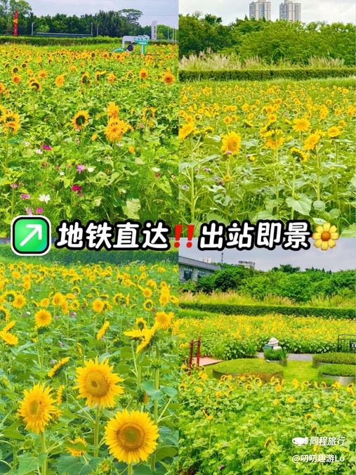 龙潭地铁站 - 广州旅游