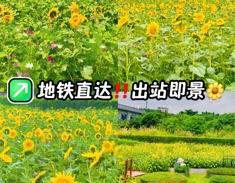 龙潭地铁站 - 广州旅游 1