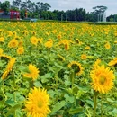 龙潭地铁站 - 广州旅游 缩略图 7
