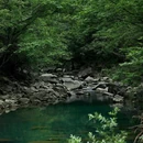 过水村 - 杭州市旅游 缩略图 1