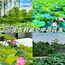 塱头古村景区 - 广州市旅游 缩略图 1