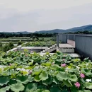 塱头古村景区 - 广州市旅游 缩略图 7