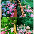 法喜讲寺 - 杭州市旅游 缩略图 1