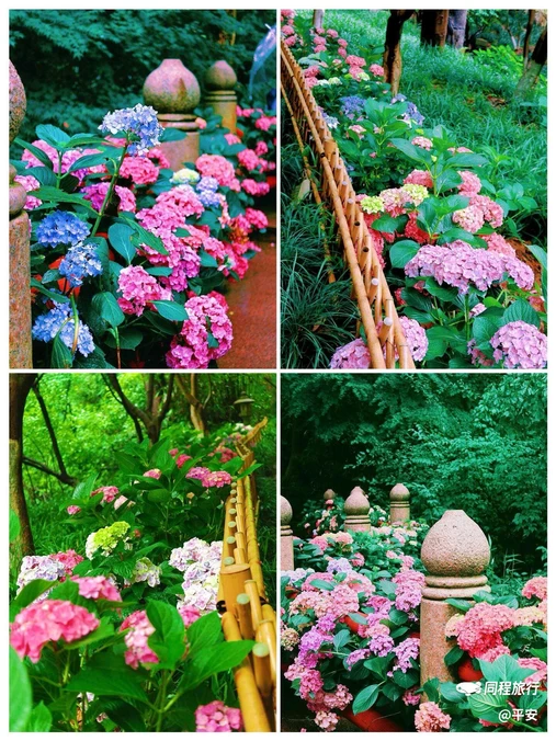 法喜讲寺 - 杭州市旅游