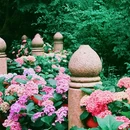 法喜讲寺 - 杭州市旅游 缩略图 2