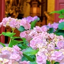 法喜讲寺 - 杭州市旅游 缩略图 5