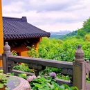 法喜讲寺 - 杭州市旅游 缩略图 8
