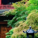 法喜讲寺 - 杭州市旅游 缩略图 7