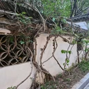 临江阁·江景餐厅 - 金华市旅游 缩略图 6