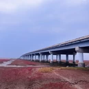 锦州凌海红海滩 - 锦州旅游 缩略图 9