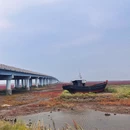 锦州凌海红海滩 - 锦州旅游 缩略图 6