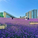 星河科创公园 - 成都市旅游 缩略图 1