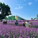 星河科创公园 - 成都市旅游 缩略图 2