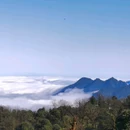 龙苍沟森林公园 - 雅安市旅游 缩略图 4