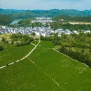 婺源江湾景区 - 上饶市旅游 缩略图 6
