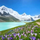 萨普神山 - 那曲市旅游 缩略图 6