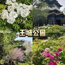 洛阳王城公园 - 洛阳市旅游 缩略图 6