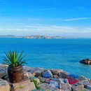 东极岛景区 - 舟山市旅游 缩略图 5