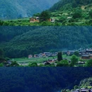 罗古箐景区 - 怒江傈僳族自治州旅游 缩略图 2