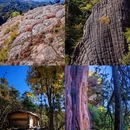 罗古箐景区 - 怒江傈僳族自治州旅游 缩略图 5