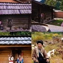 罗古箐景区 - 怒江傈僳族自治州旅游 缩略图 6