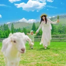 莫干山风景名胜区 - 湖州市旅游 缩略图 1