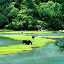 甲根坝景点·自然山水风光 - 甘孜藏族自治州旅游 缩略图 1