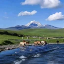 甲根坝景点·自然山水风光 - 甘孜藏族自治州旅游 缩略图 4