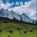 哈巴西坡鸽山地咖啡营地 - 迪庆藏族自治州旅游 缩略图 5