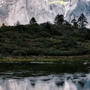 哈巴西坡鸽山地咖啡营地 - 迪庆藏族自治州旅游 缩略图 4