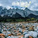 哈巴西坡鸽山地咖啡营地 - 迪庆藏族自治州旅游 缩略图 3