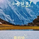 哈巴西坡鸽山地咖啡营地 - 迪庆藏族自治州旅游 缩略图 1