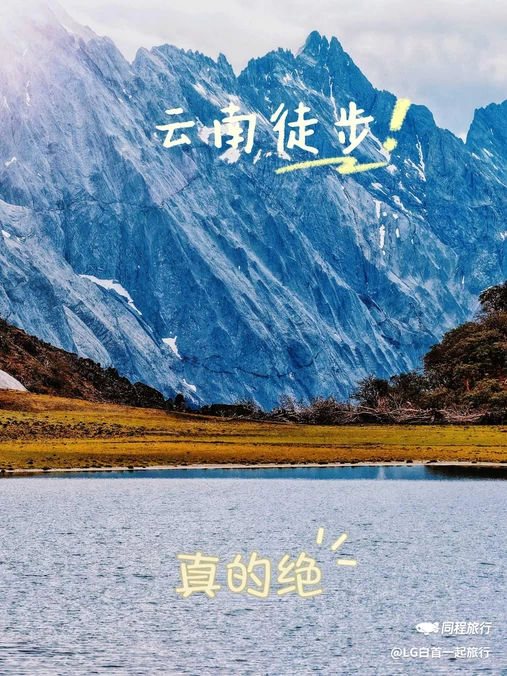 哈巴西坡鸽山地咖啡营地 - 迪庆藏族自治州旅游