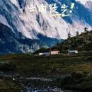 哈巴西坡鸽山地咖啡营地 - 迪庆藏族自治州旅游 缩略图 6