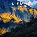 哈巴西坡鸽山地咖啡营地 - 迪庆藏族自治州旅游 缩略图 7
