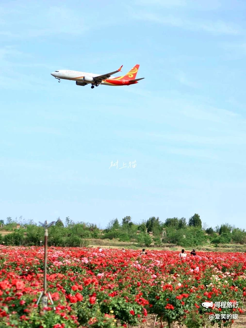 西安空港新城航通酒店 - 咸阳市旅游