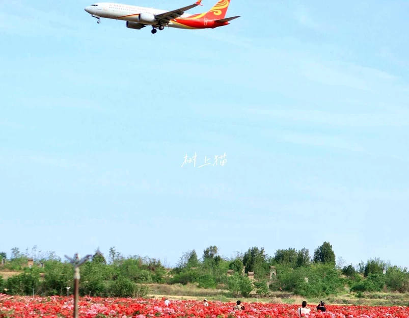 西安空港新城航通酒店 - 咸阳市旅游 1