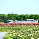 西安空港新城航通酒店 - 咸阳市旅游 缩略图 6