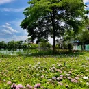 港头村古村落 - 广州市旅游 缩略图 4
