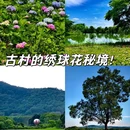 港头村古村落 - 广州市旅游 缩略图 1