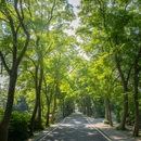 东湖磨山景区 - 武汉市旅游 缩略图 1