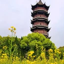 常泰长江大桥 - 泰州市旅游 缩略图 5