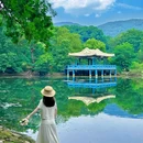钟山风景区-流徽榭 - 南京市旅游 缩略图 4