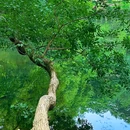 钟山风景区-流徽榭 - 南京市旅游 缩略图 3
