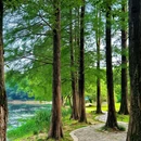 钟山风景区-流徽榭 - 南京市旅游 缩略图 5