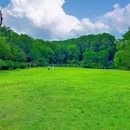 钟山风景区-流徽榭 - 南京市旅游 缩略图 6